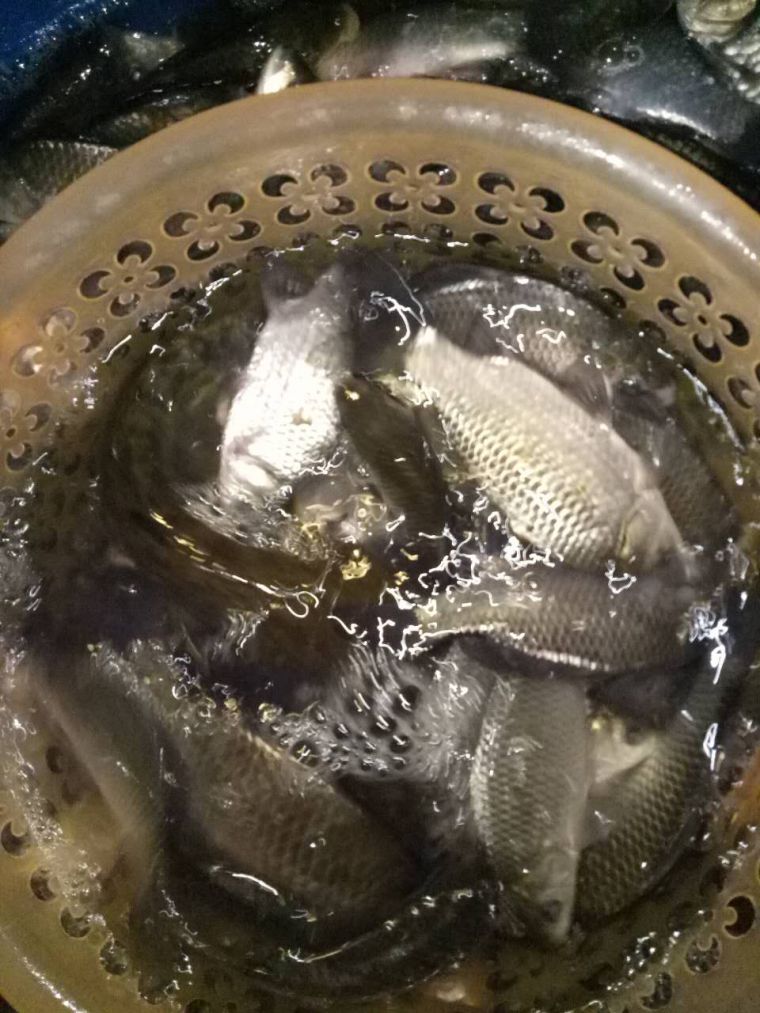 微信图片_20180107005338.jpg
