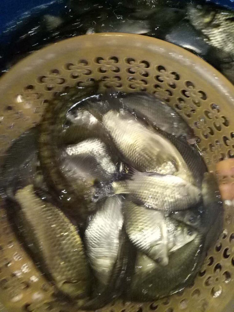 微信图片_20180107005401.jpg