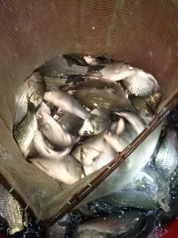 微信图片_20180107005409.jpg