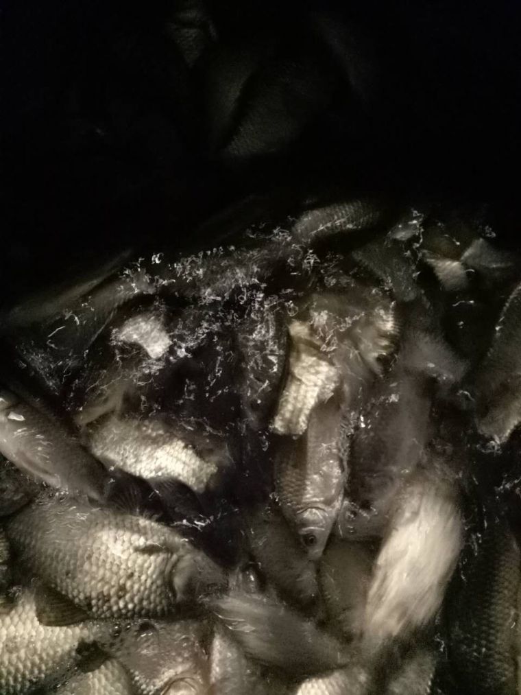 微信图片_20180107005343.jpg