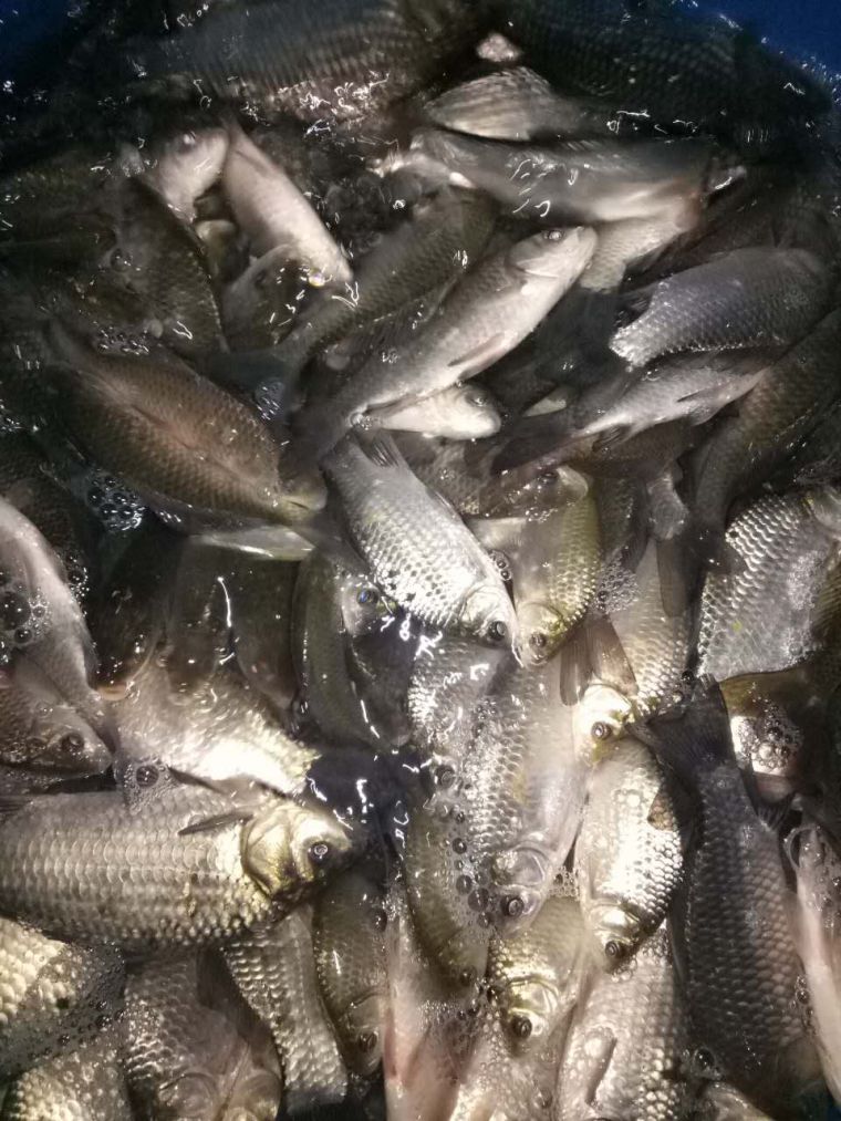 微信图片_20180107005350.jpg