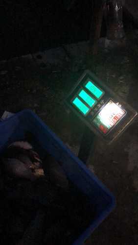 6314BEA4-4402-4A45-A708-4F028019AFF6.jpeg