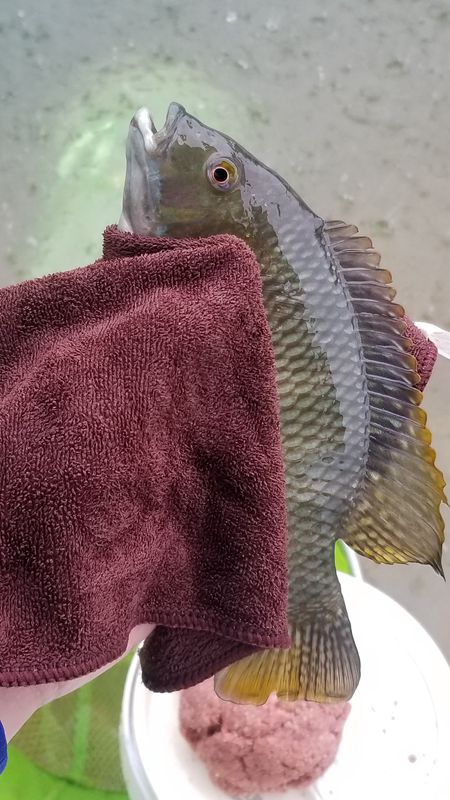 20180430_080602.jpg