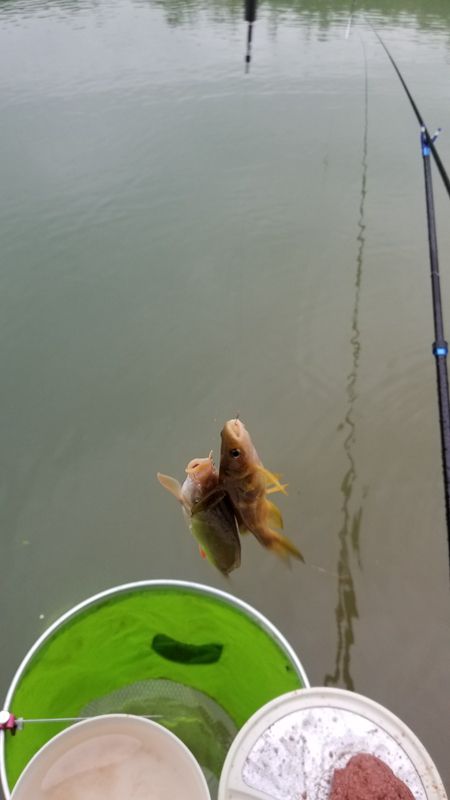 20180430_174020.jpg