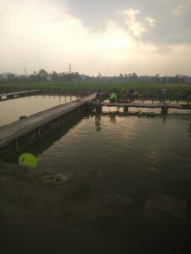 IMG_20190907_074433.jpg