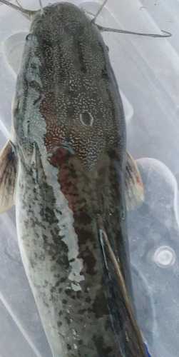 wx_camera_1568544487118.jpg