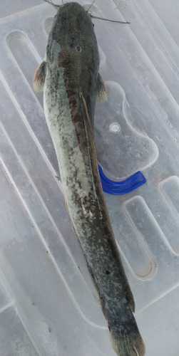 wx_camera_1568544498483.jpg