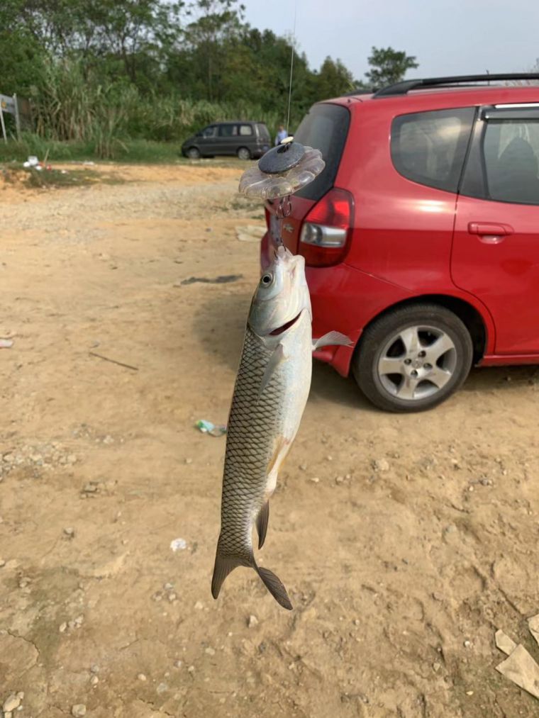 微信图片_20191007171433.jpg