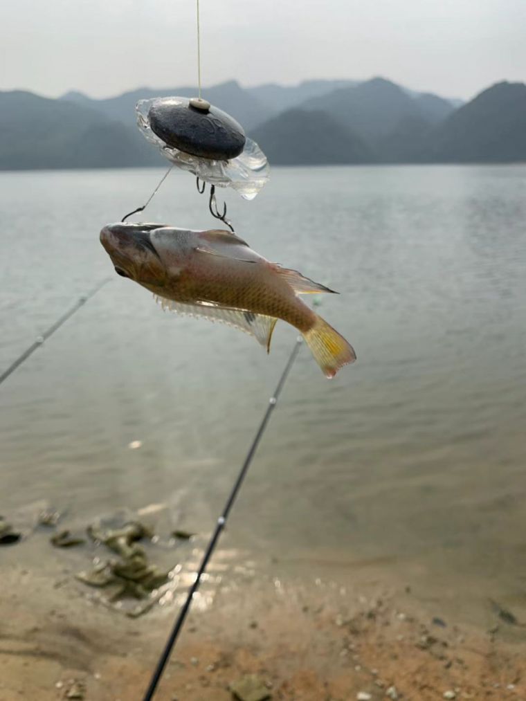 微信图片_20191007171554.jpg