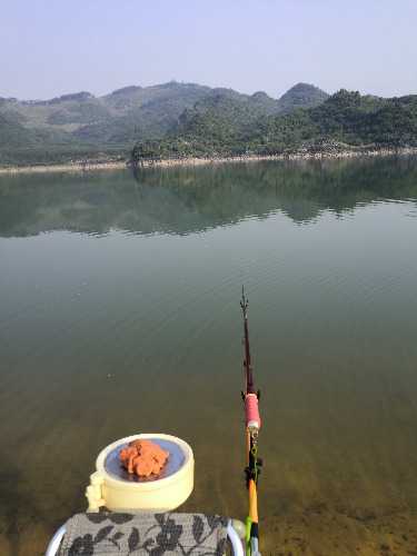 IMG_20200409_083017.jpg