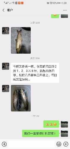 Screenshot_20201214_132041_com.tencent.mm.jpg