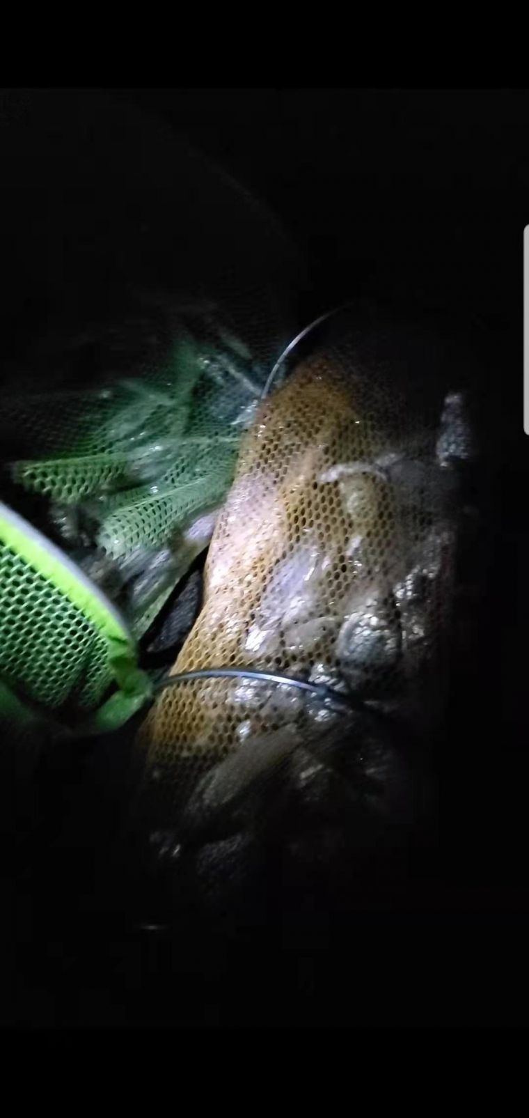 微信图片_20210105125721.jpg