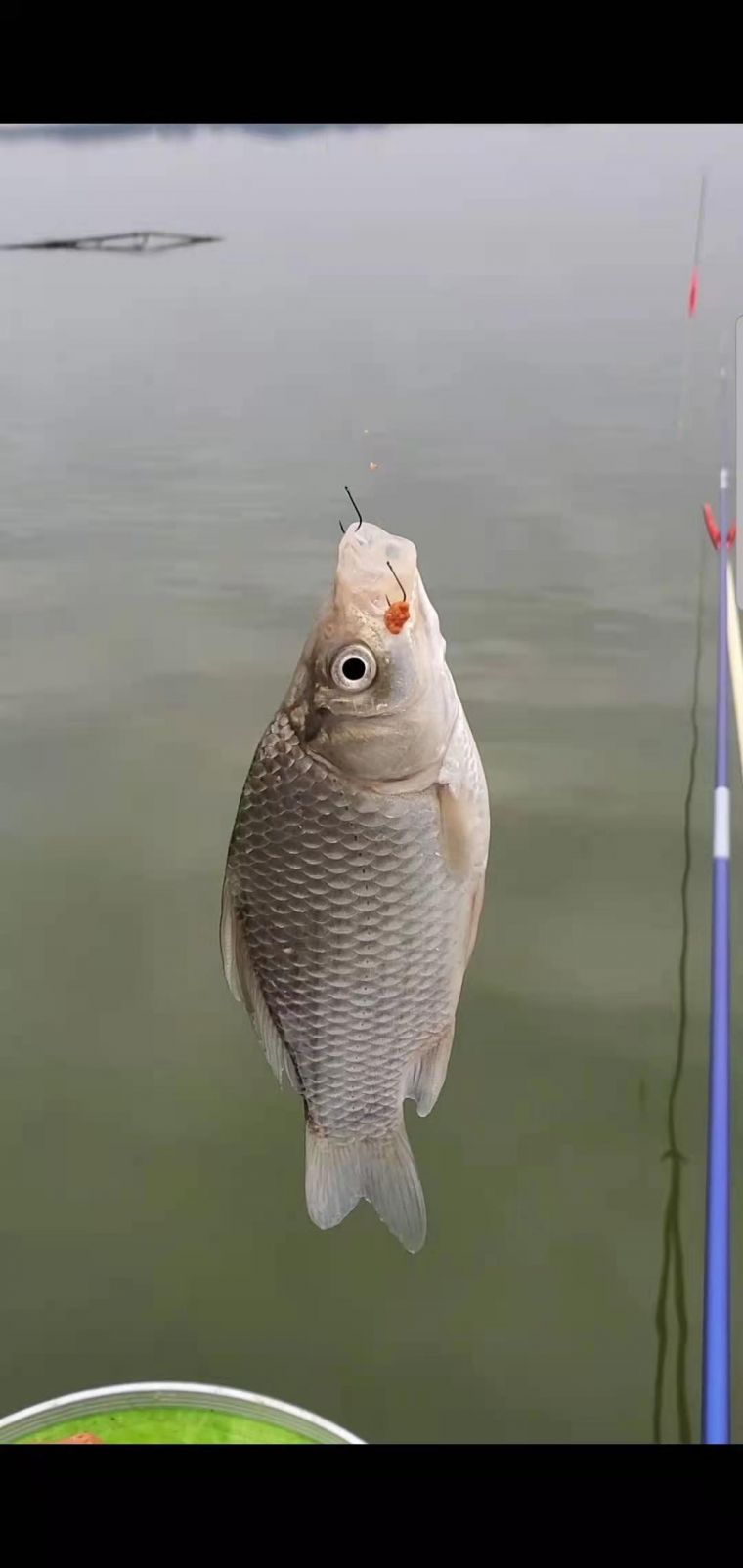 微信图片_20210105125456.jpg