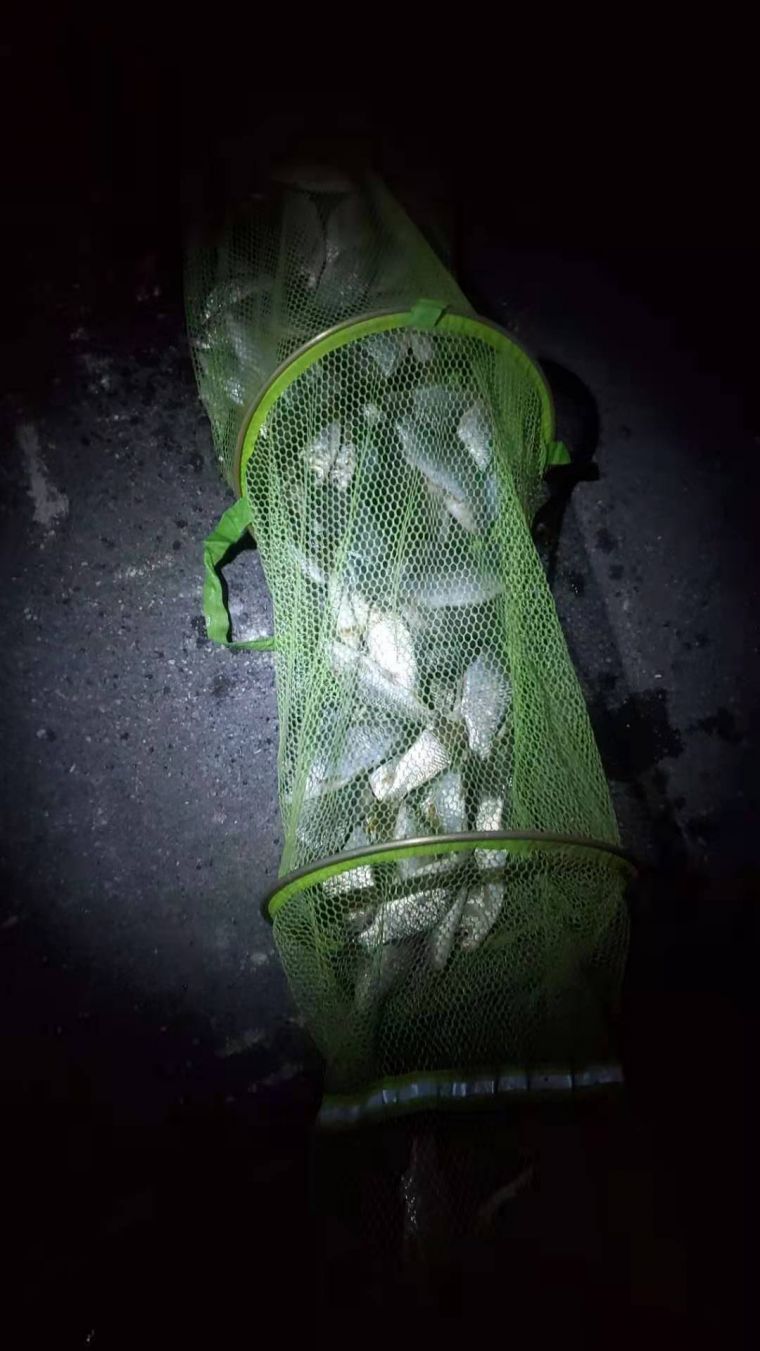 微信图片_20210105130202.jpg