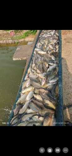 Screenshot_20210220_155630_com.tencent.mm.jpg