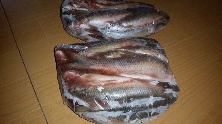还没有吃玩