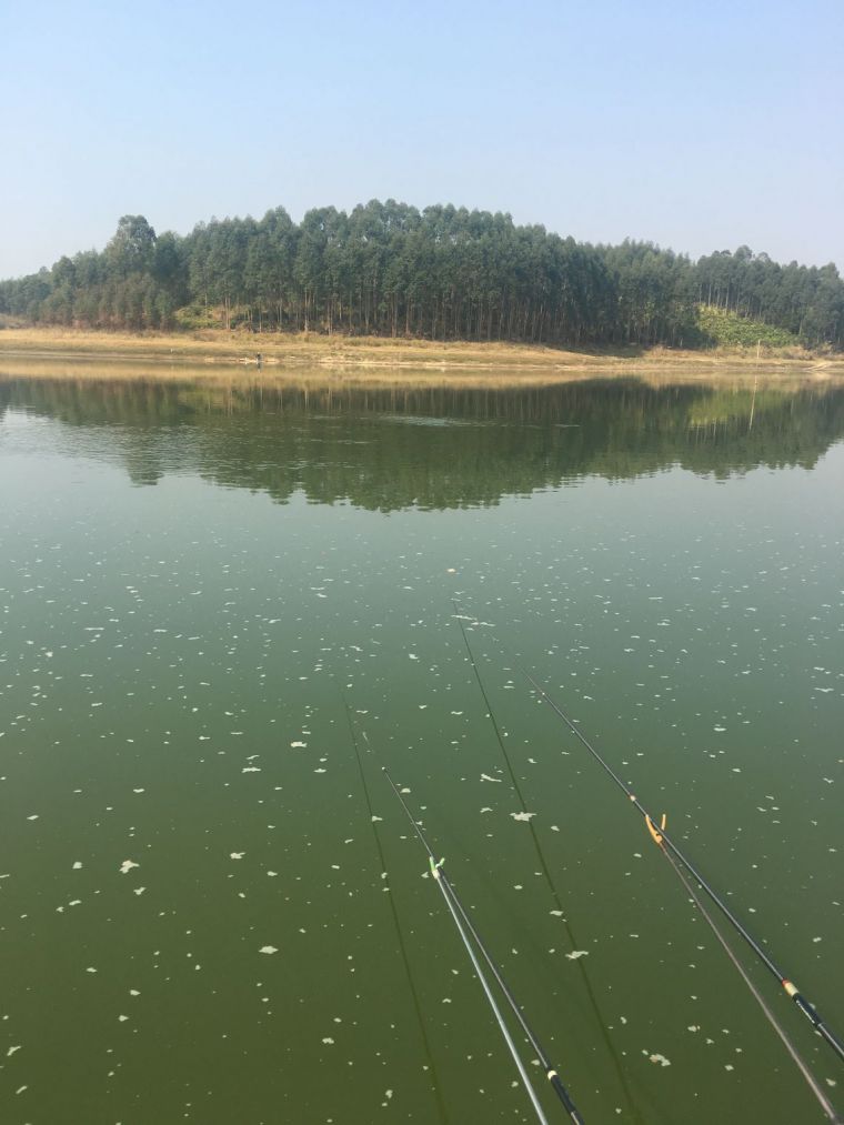 QQ图片20191216001429.jpg