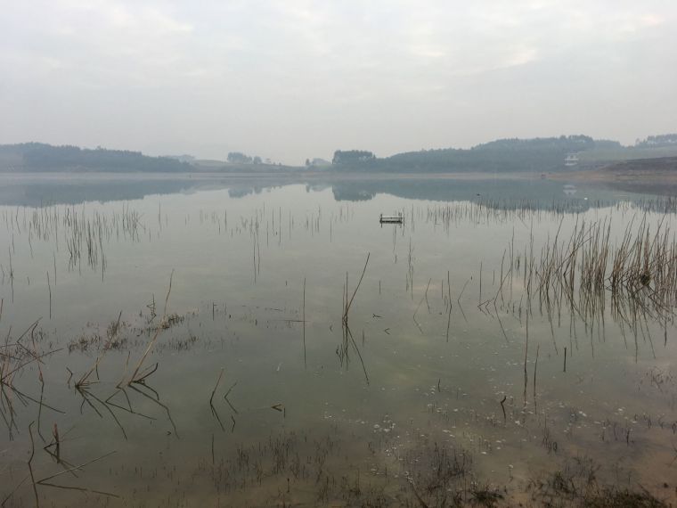 QQ图片20191216001438.jpg