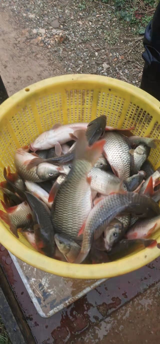 微信图片_202203250817031.jpg