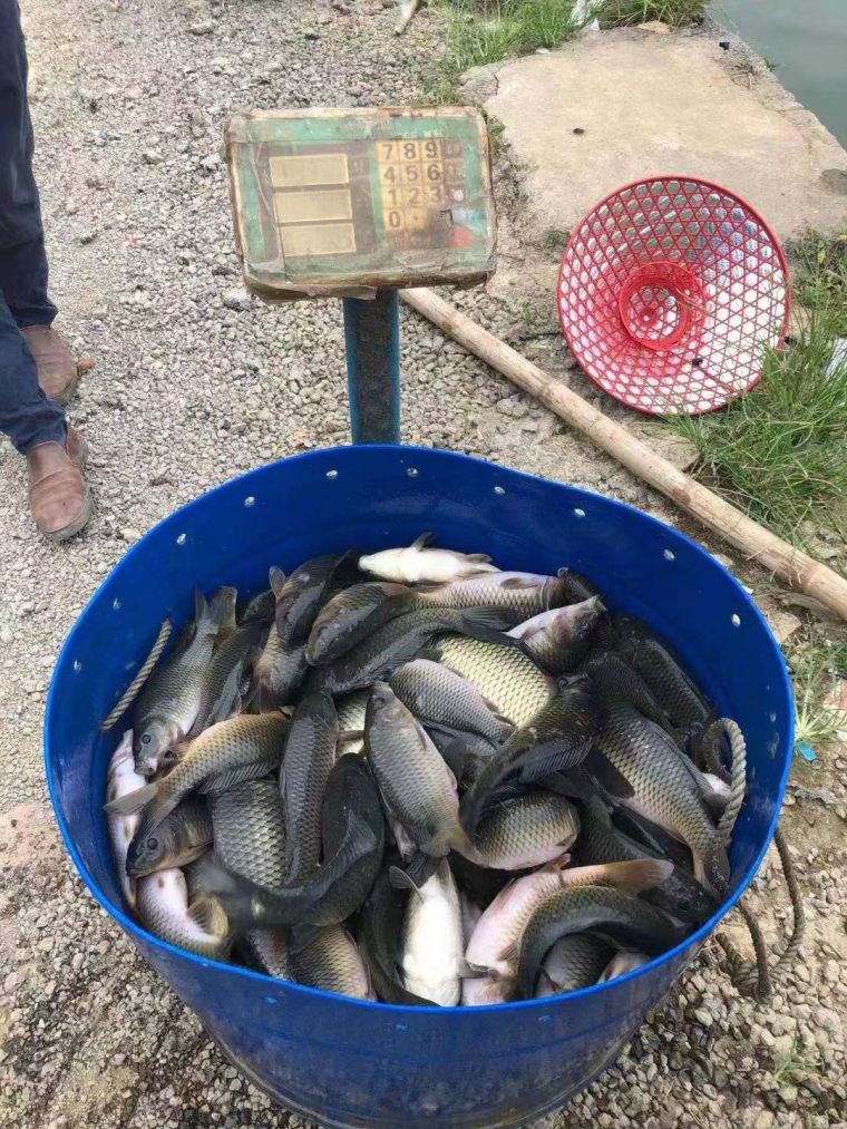 微信图片_202207291701505.jpg