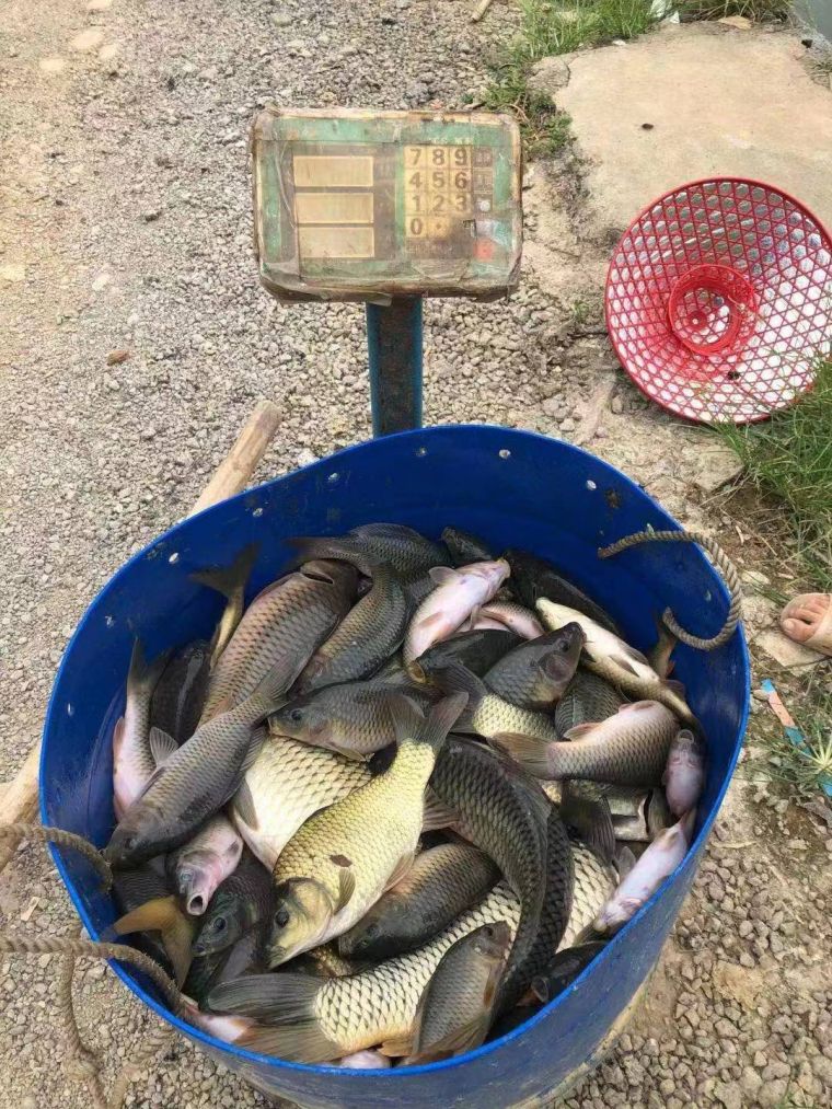 微信图片_202207291701508.jpg