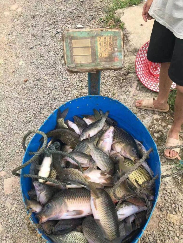 微信图片_202207291701509.jpg