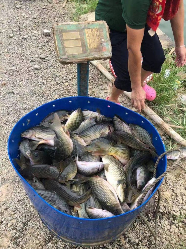 微信图片_202207291701504.jpg