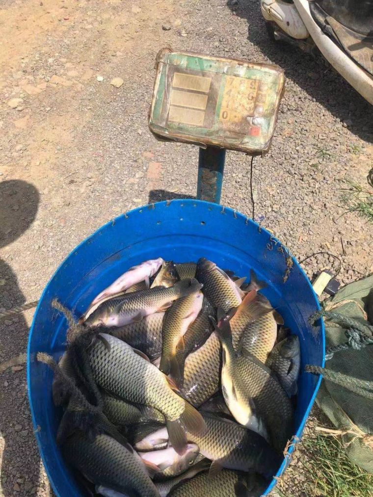 微信图片_202208121659529.jpg