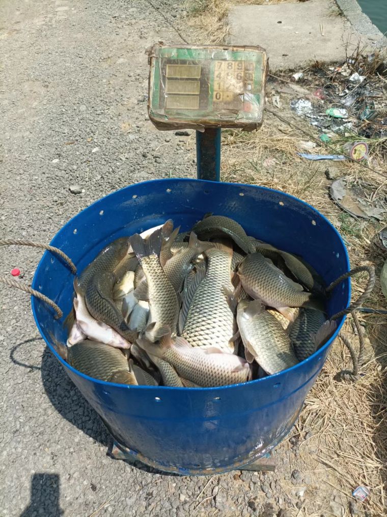 微信图片_202209021645451.jpg