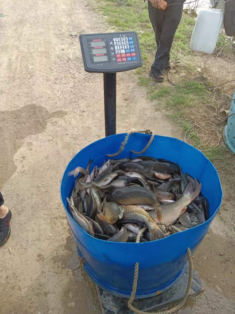 微信图片_2023050619430111.jpg