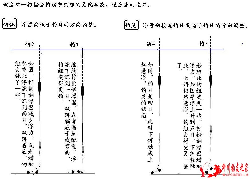 调漂器钓法-调鱼口.JPG