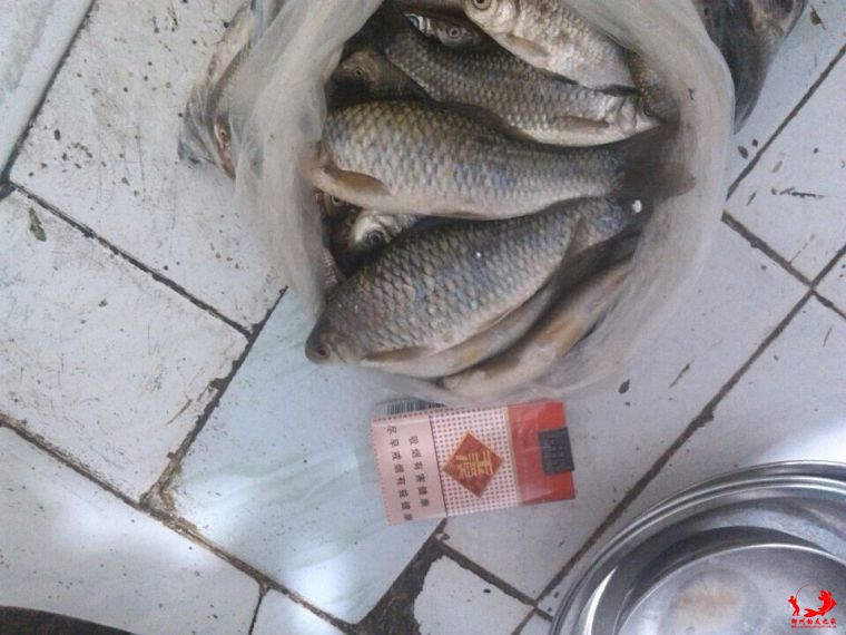 QQ图片20140823193613.jpg