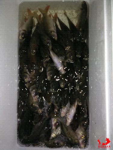 IMG20140812192204.jpg