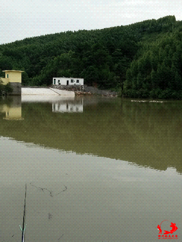 IMG20140812161515.jpg