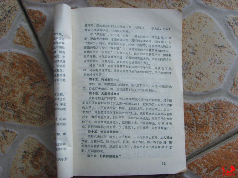 SSL25373.JPG