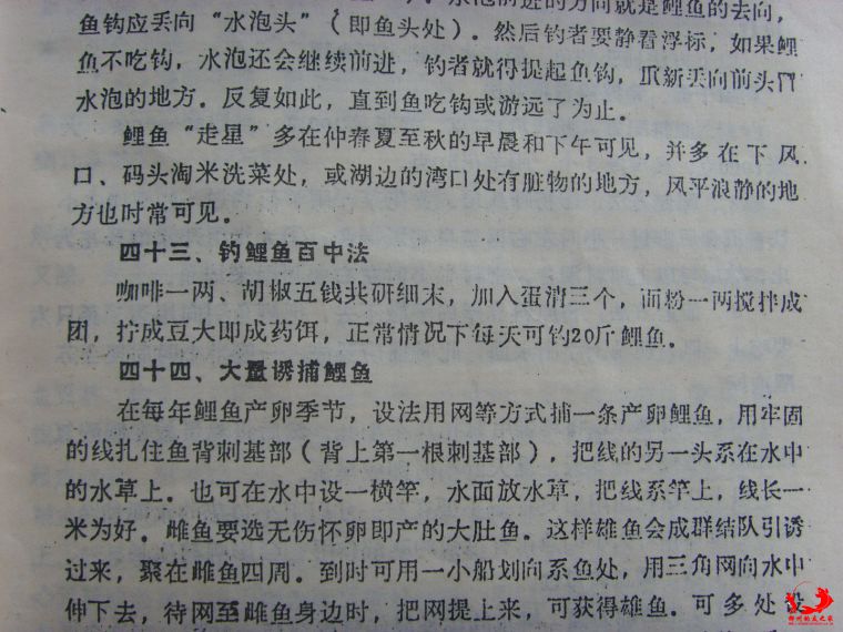 SSL25374.JPG