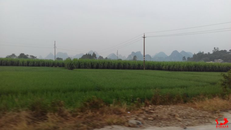 IMG_20140906_064727.jpg