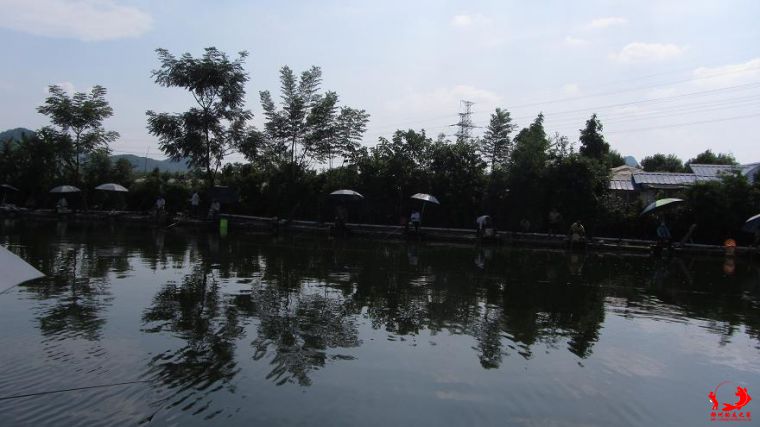 IMG_3460.jpg