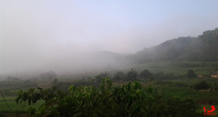 20140919_071735.jpg