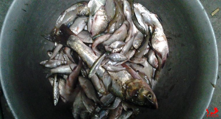 20140919_180739.jpg