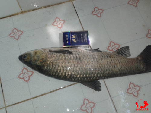 20140921_111054.jpg