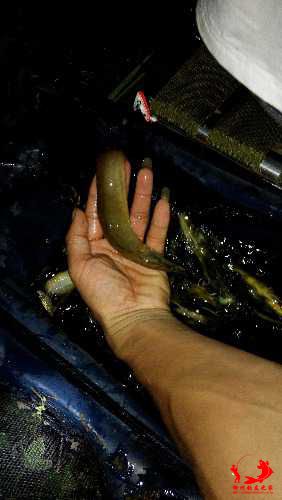 IMG_20140914_010209.jpg