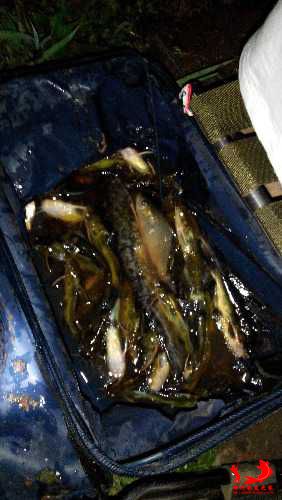 IMG_20140914_010150.jpg