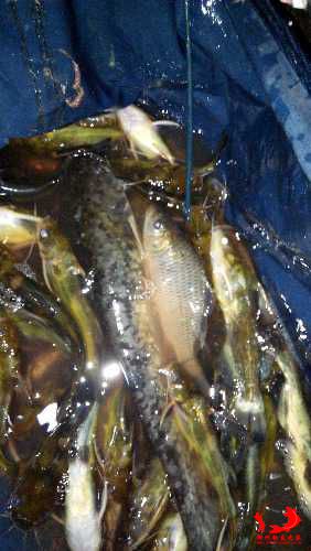 IMG_20140914_010132.jpg