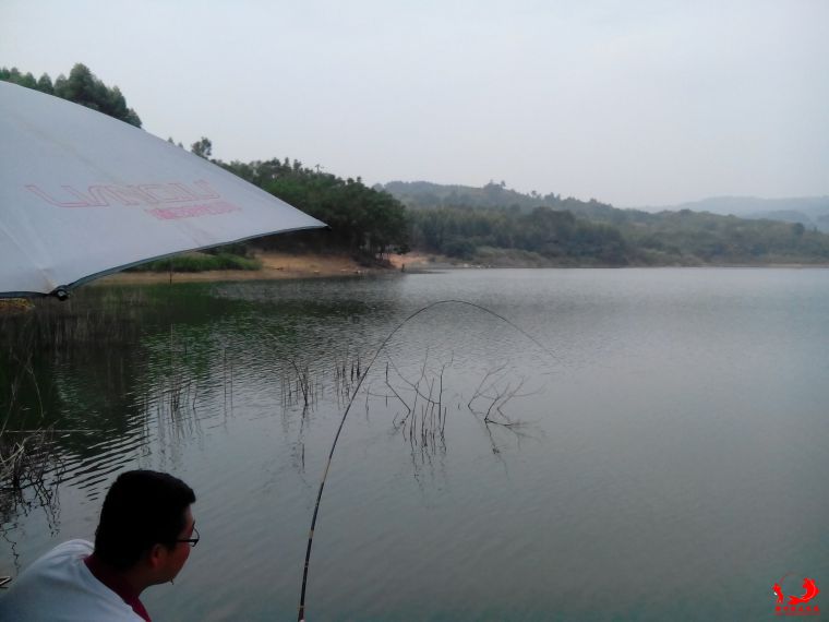 4 小虎大师狂拔大鲮公.jpg
