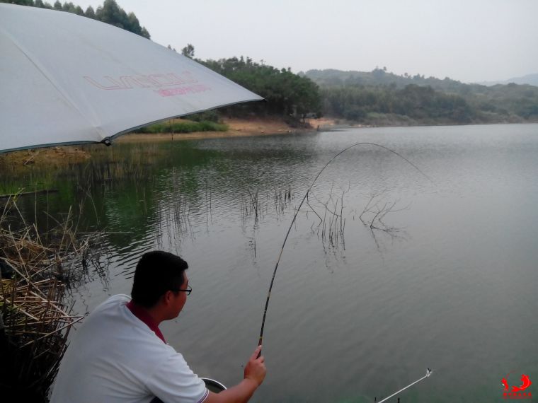 5 黄师虎同学：您要注意溜鱼，竿随我征战多年.jpg