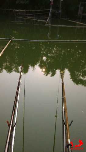 IMG_20141001_163233.jpg