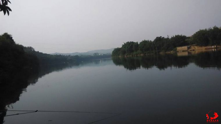 风景不错·