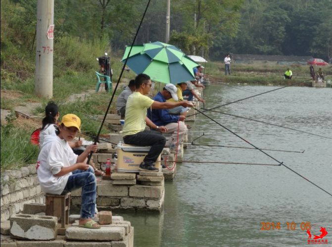 QQ图片20141005155604.jpg