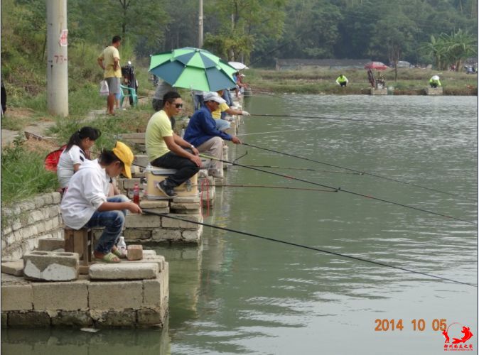 QQ图片20141005155708.jpg